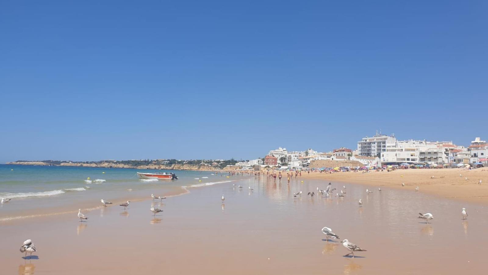 Villa Algarve Alcantarilha Kültér fotó